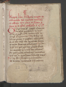 Zbiór rozważań, modlitw. 1. Liber de adherendo Deo nudato intellectu et affectu. 2. Tractatus de veris virtutibus (Paradisus animae).