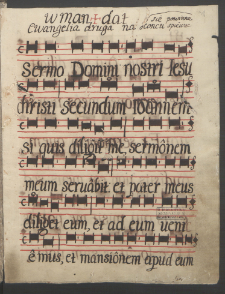 Sermo Domini Nostri Iesu Christi secundum Ioannem